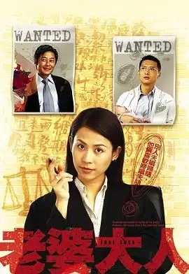 电视剧《老婆大人粤语》剧情介绍