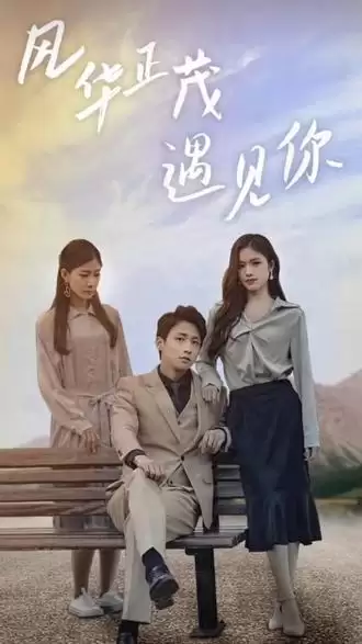短剧《风华正茂遇见你》剧情介绍