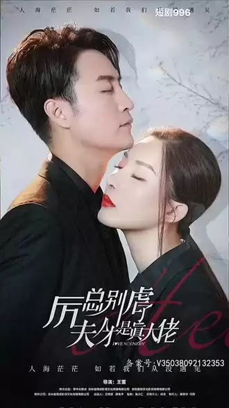 短剧《厉总别虐了，夫人才是真大佬》剧情介绍