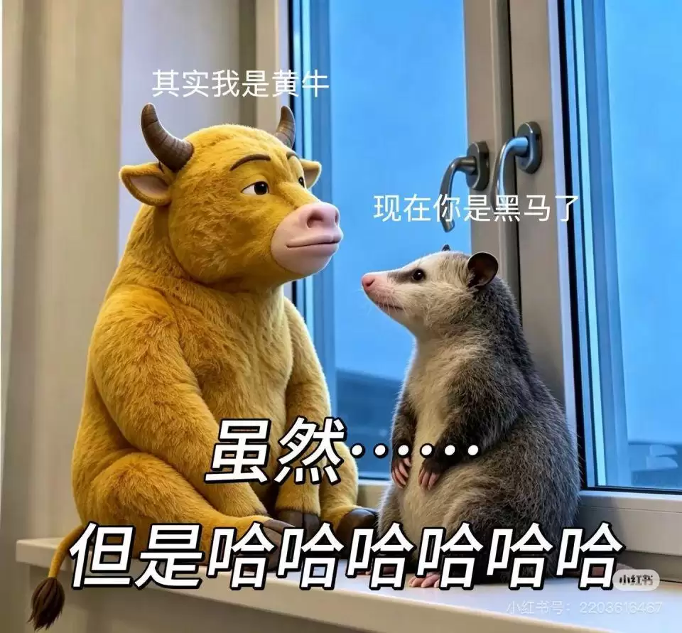 复盘来时路，《牛来》如何被推入公共视野？
