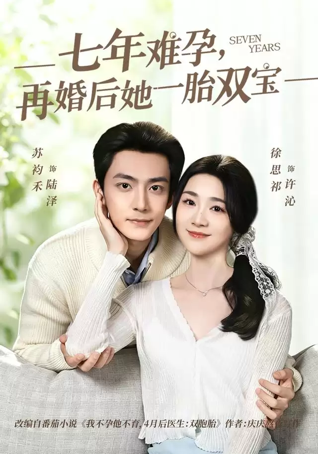 短剧《七年难孕，再婚后她一胎双宝》剧情介绍