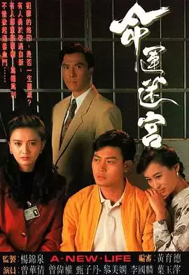 电视剧《命运迷宫粤语》剧情介绍