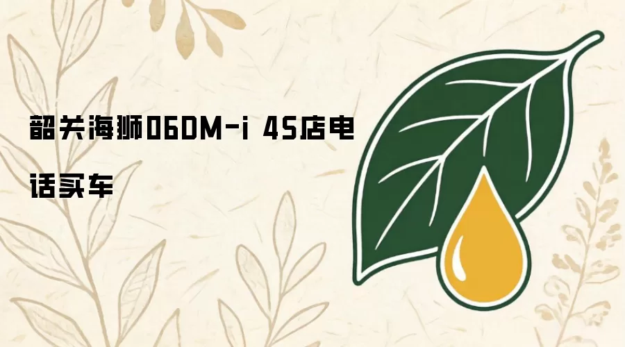 韶关海狮06DM-i 4S店电话买车