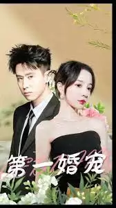 短剧《第一婚宠》剧情介绍