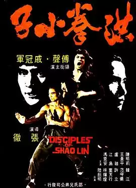 电影《洪拳小子粤语》剧情介绍