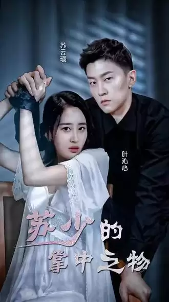 短剧《苏少的掌中之物》剧情介绍