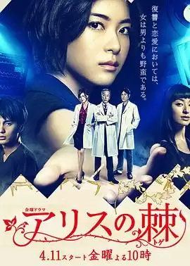 电视剧《爱丽丝之棘》剧情介绍
