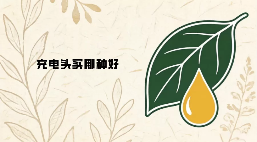 充电头买哪种好