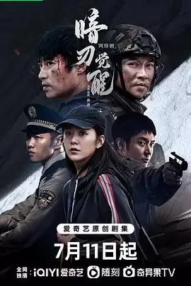 电视剧《暗刃觉醒》剧情介绍