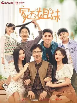 电视剧《家有姐妹》剧情介绍