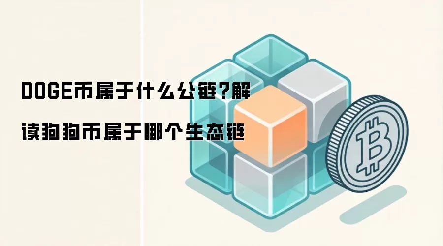 DOGE币属于什么公链？解读狗狗币属于哪个生态链