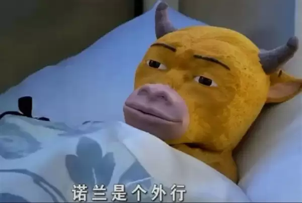 同事看完《牛来》 被《1818黄金眼》采访了