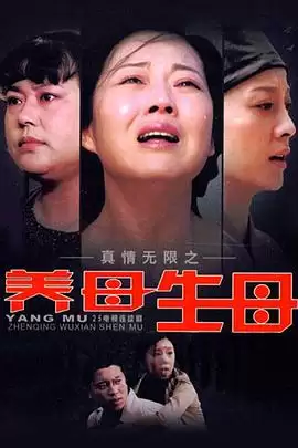 电视剧《真情无限之养母生母》剧情介绍