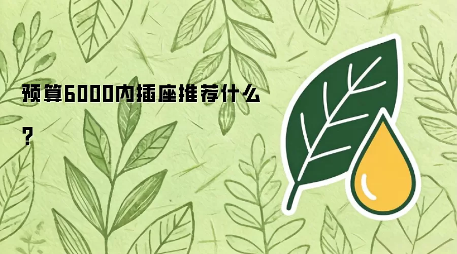 预算6000内插座推荐什么？