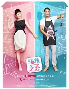 电视剧《转角之恋》剧情介绍
