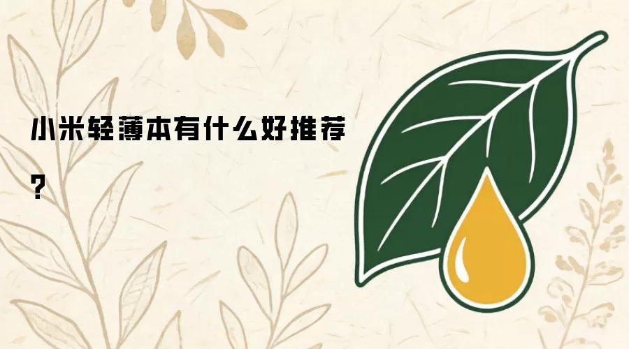 小米轻薄本有什么好推荐？