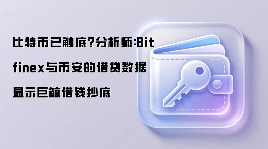 比特币已触底？分析师:Bitfinex与币安的借贷数据显示巨鲸借钱抄底
