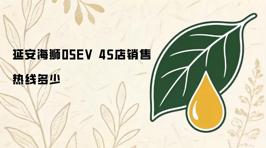 延安海狮05EV 4S店销售热线多少