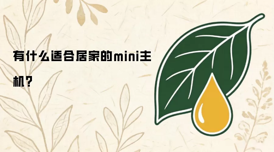有什么适合居家的mini主机？