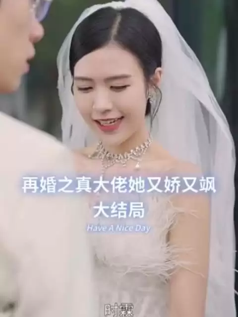 短剧《再婚之真大佬她又娇又飒》剧情介绍