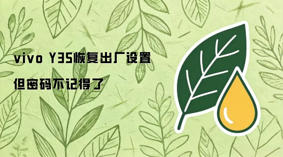 vivo Y35恢复出厂设置但密码不记得了