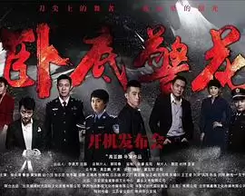 电视剧《卧底警花》剧情介绍