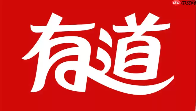 有道在线翻译网页版入口 有道在线翻译官方入口