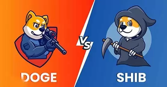 一文搞懂SHIB币和DOGE币哪个潜力大？