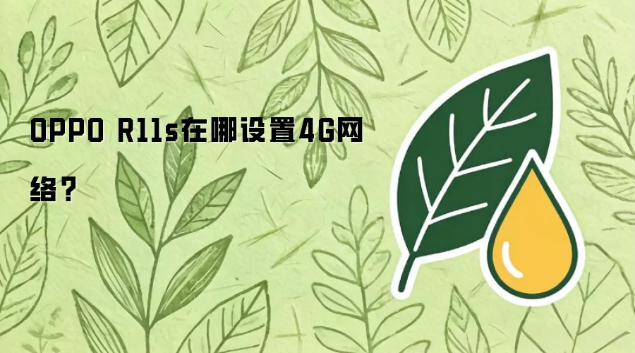 OPPO R11s在哪设置4G网络？
