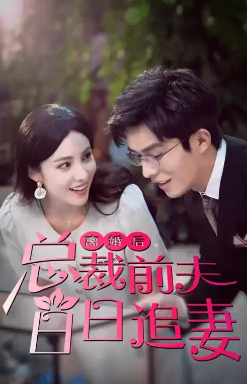 短剧《离婚后总裁前夫日日追妻》剧情介绍