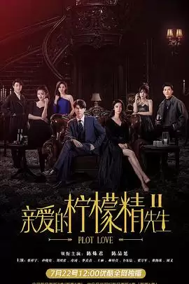 电视剧《亲爱的柠檬精先生2》剧情介绍