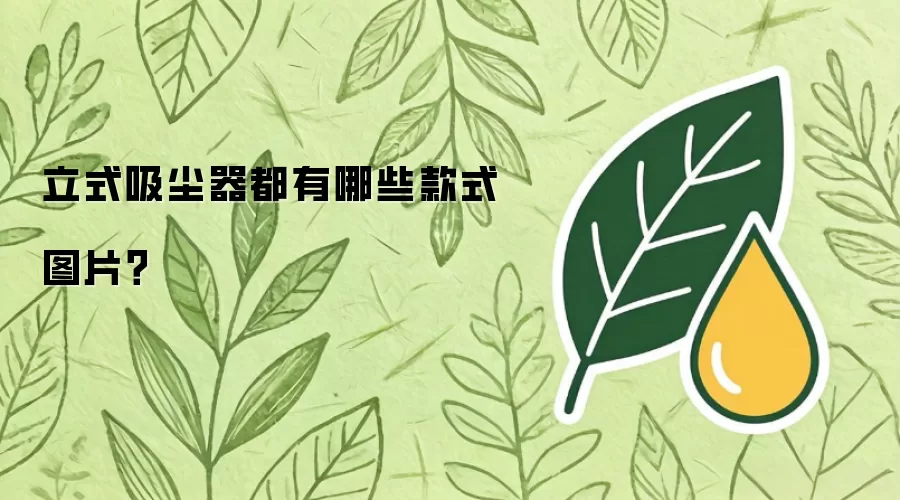 立式吸尘器都有哪些款式图片？