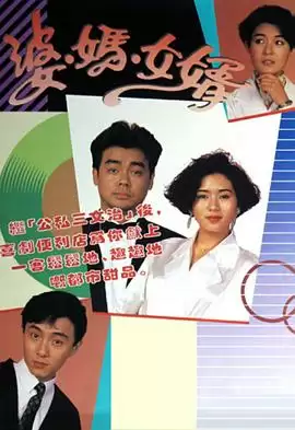 电视剧《婆妈女婿粤语》剧情介绍