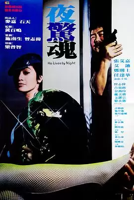 电视剧《夜惊魂粤语》剧情介绍