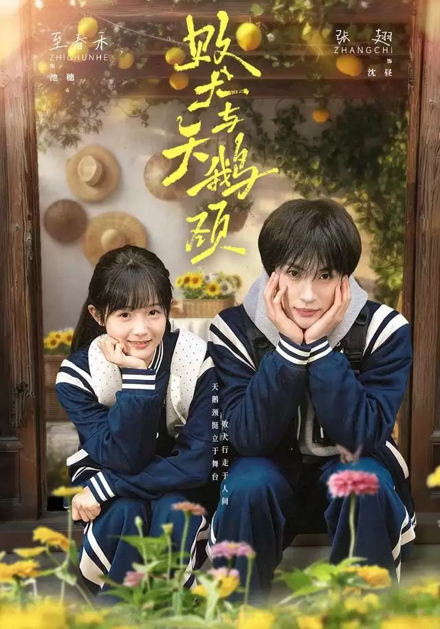 短剧《败犬与天鹅颈》剧情介绍