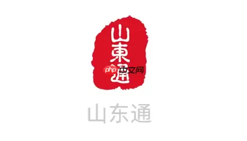 山东通密码设置规则_山东通新密码设置说明