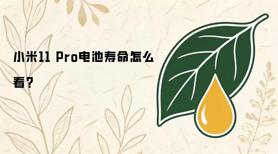 小米11 Pro电池寿命怎么看？