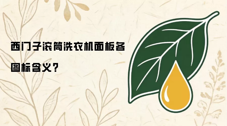 西门子滚筒洗衣机面板各图标含义？