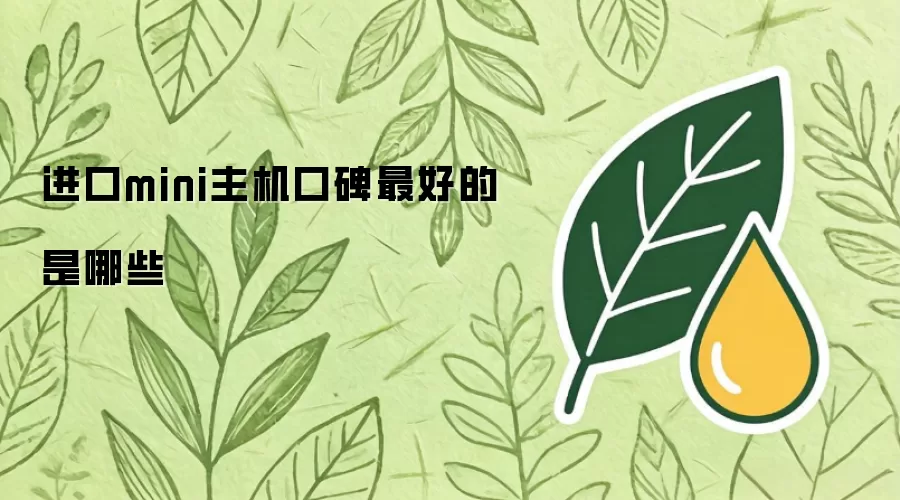 进口mini主机口碑最好的是哪些