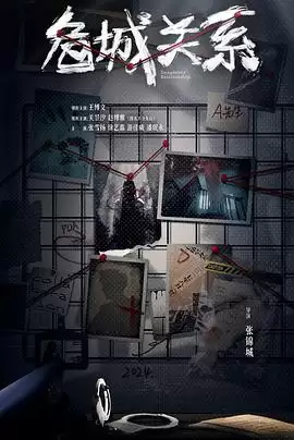 电视剧《危城关系》剧情介绍